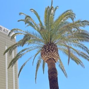 Meet your Posher, Jo